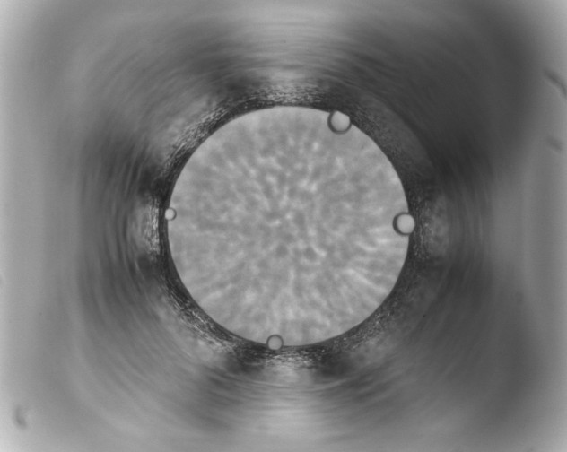 X0000103900696200810031149