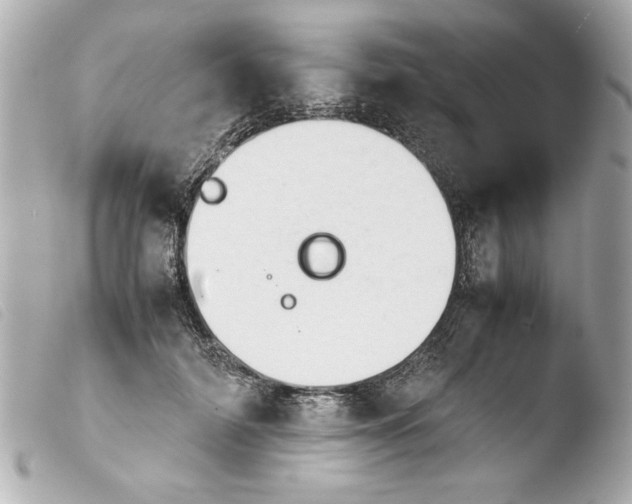 X0000103900698200810031149