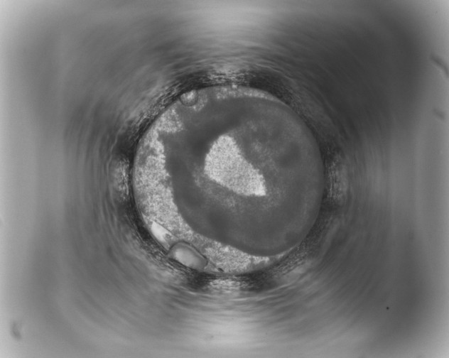 X0000103900699200810031149