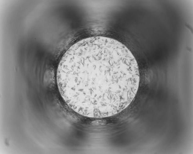 X0000103900700200810031149