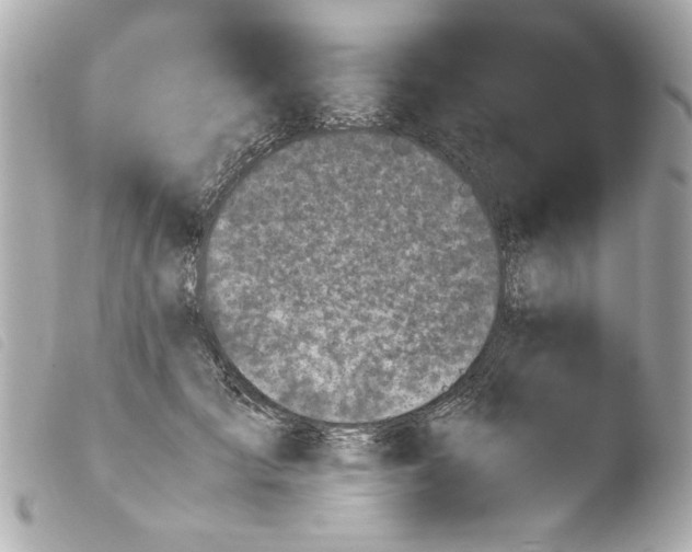 X0000103900701200810031149