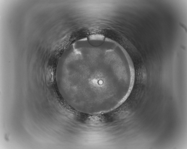 X0000103900703200810031149