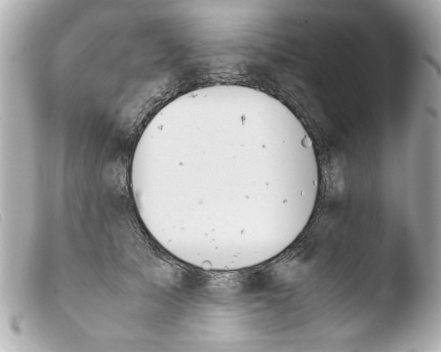 X0000103900705200810031149