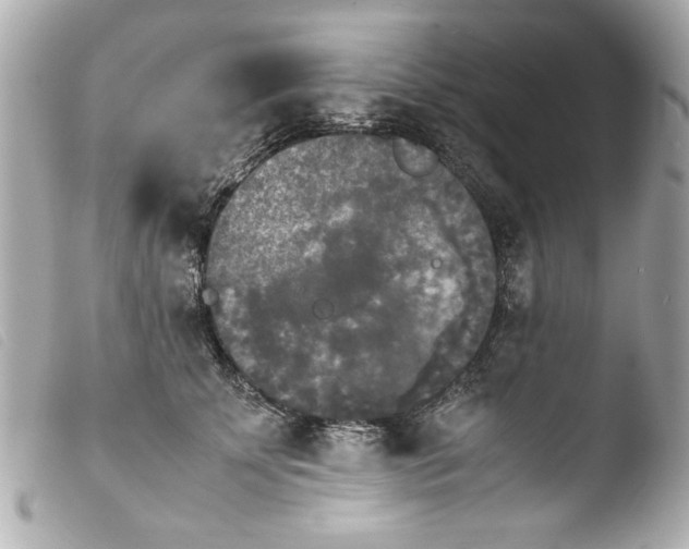 X0000103900707200810031149