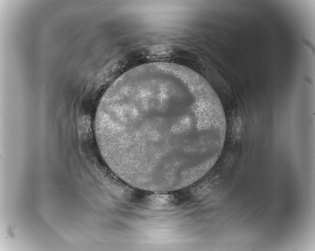 X0000103900711200810031149