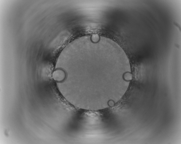 X0000103900712200810031149