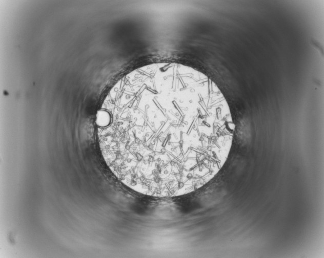 X0000103900715200810031149