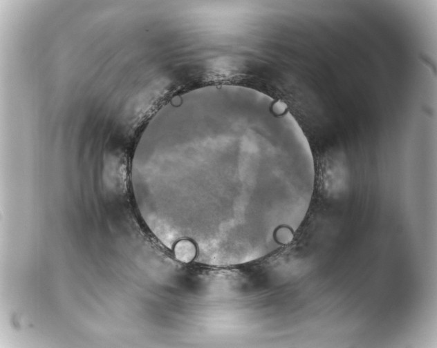 X0000103900716200810031149