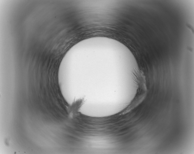 X0000103900717200810031149