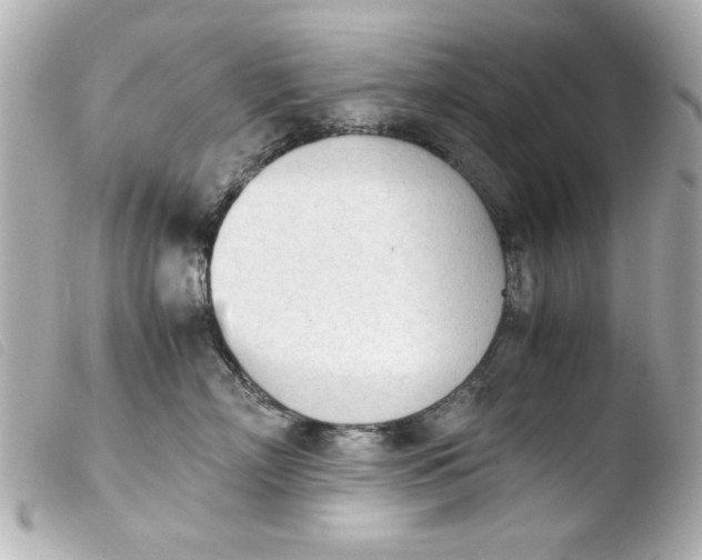 X0000103900718200810031149