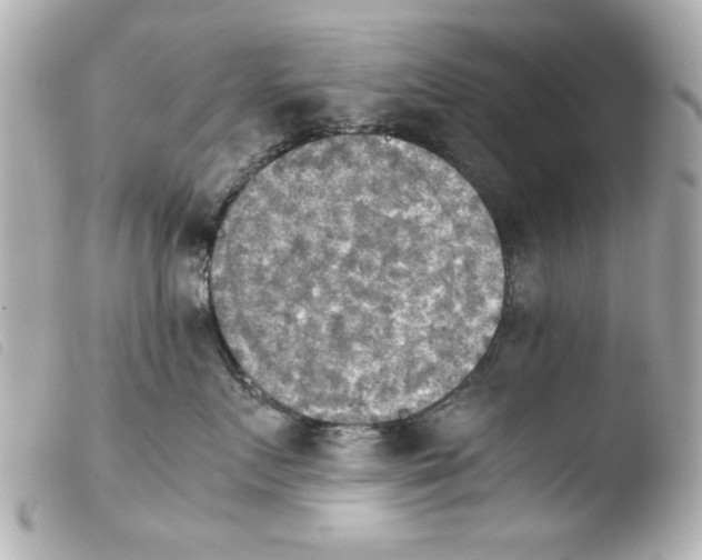 X0000103900719200810031149