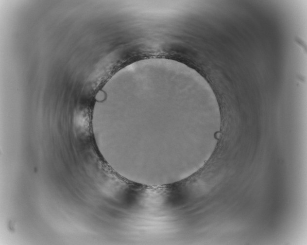 X0000103900720200810031149