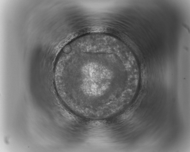 X0000103900721200810031148