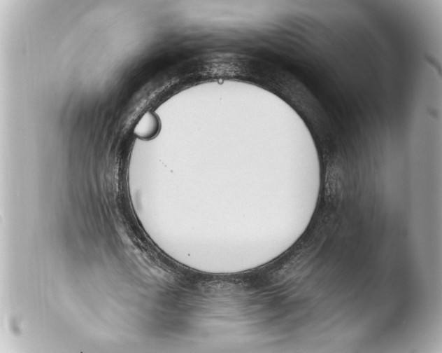 X0000103900722200810031148