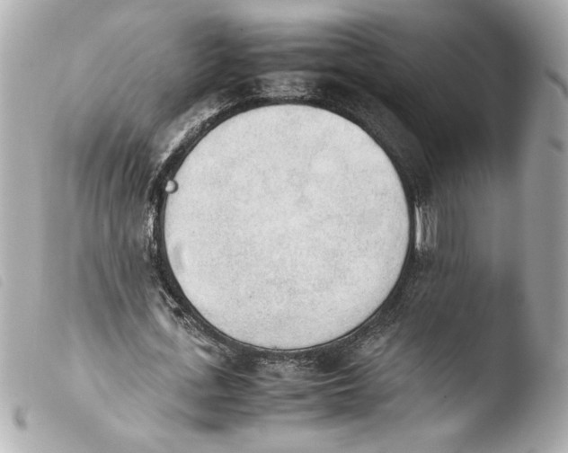 X0000103900723200810031148