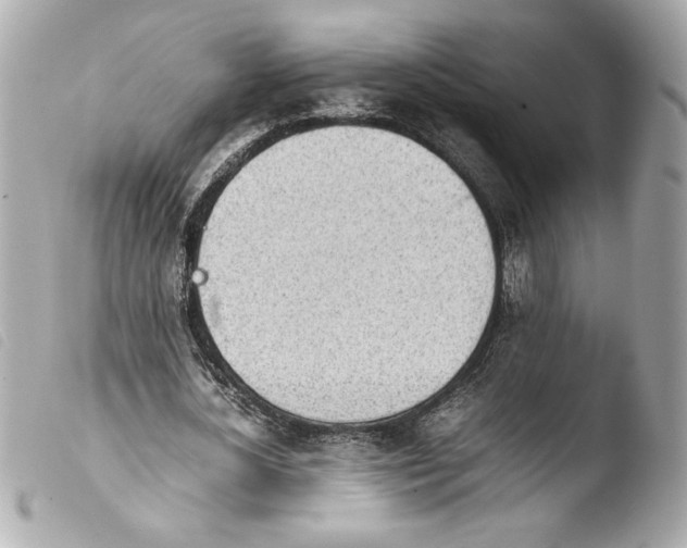 X0000103900724200810031148