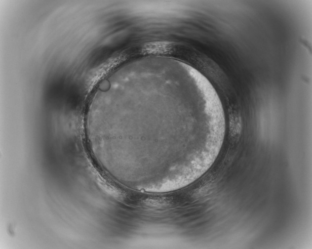 X0000103900725200810031148