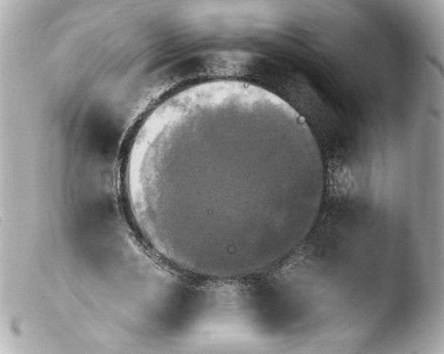 X0000103900726200810031148