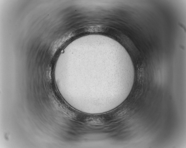 X0000103900727200810031148