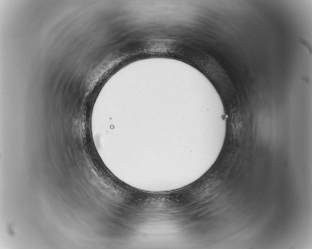 X0000103900728200810031148