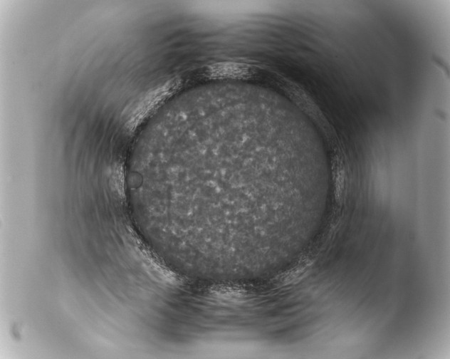 X0000103900729200810031148