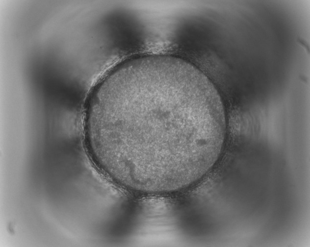 X0000103900730200810031148