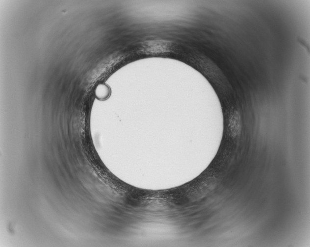 X0000103900732200810031148