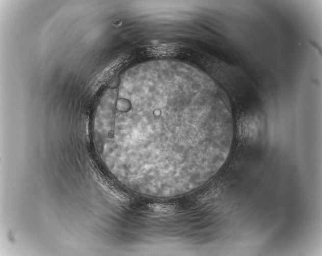 X0000103900733200810031148