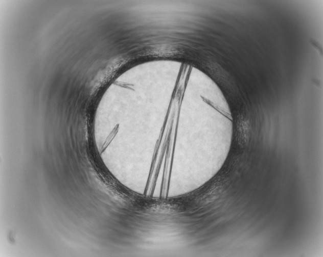 X0000103900734200810031148