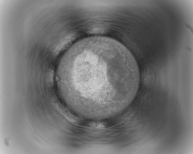 X0000103900735200810031148