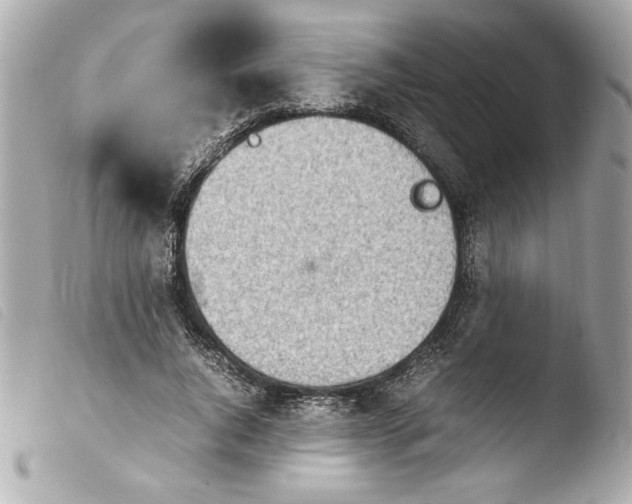 X0000103900736200810031148