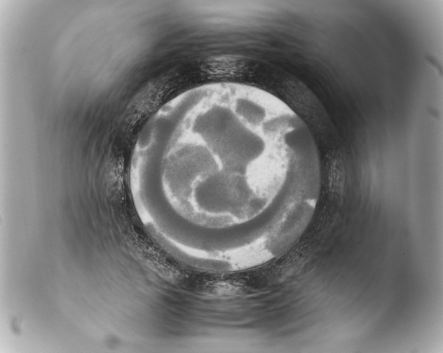 X0000103900737200810031148