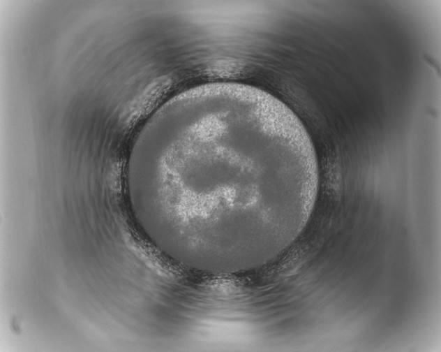 X0000103900738200810031148