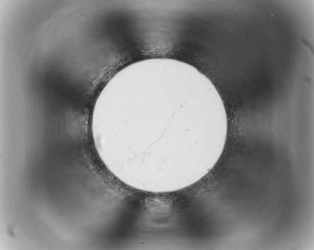 X0000103900739200810031148