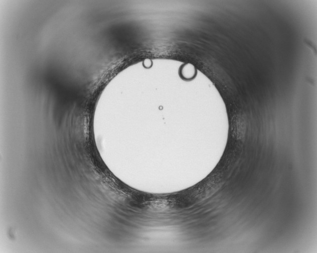 X0000103900740200810031148