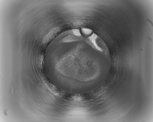 X0000103900742200810031148