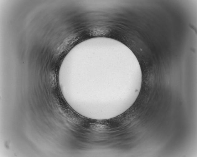 X0000103900743200810031148