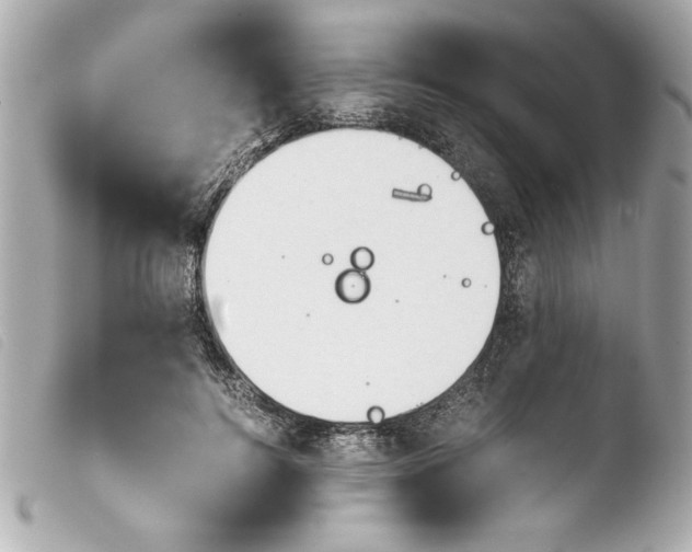 X0000103900744200810031148