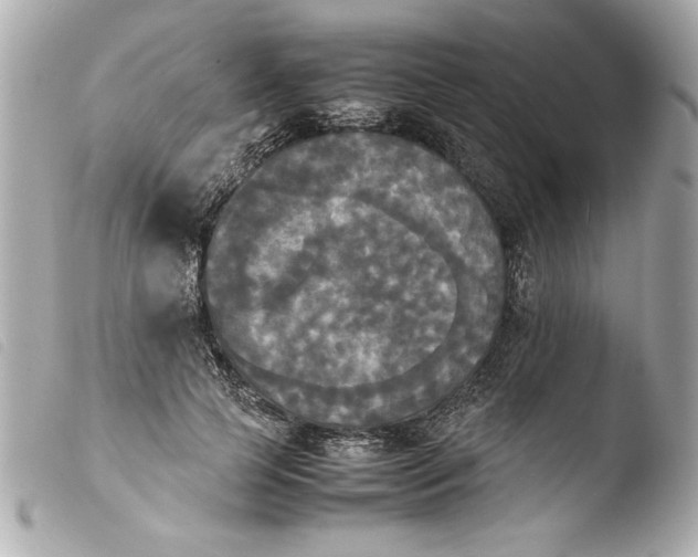 X0000103900745200810031148