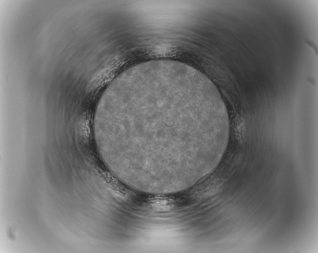 X0000103900746200810031148