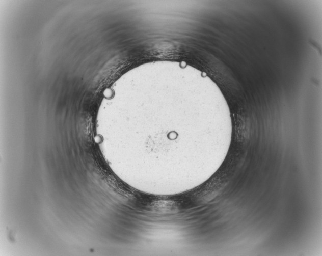 X0000103900748200810031148