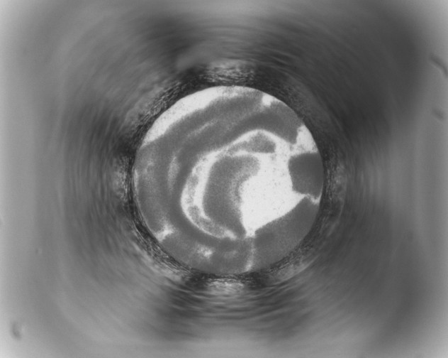 X0000103900749200810031148