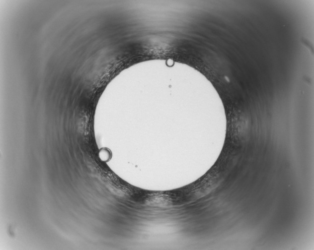 X0000103900750200810031148