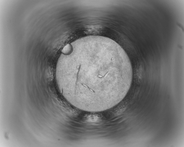 X0000103900751200810031149