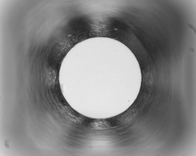 X0000103900752200810031149