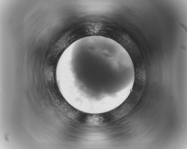 X0000103900754200810031149