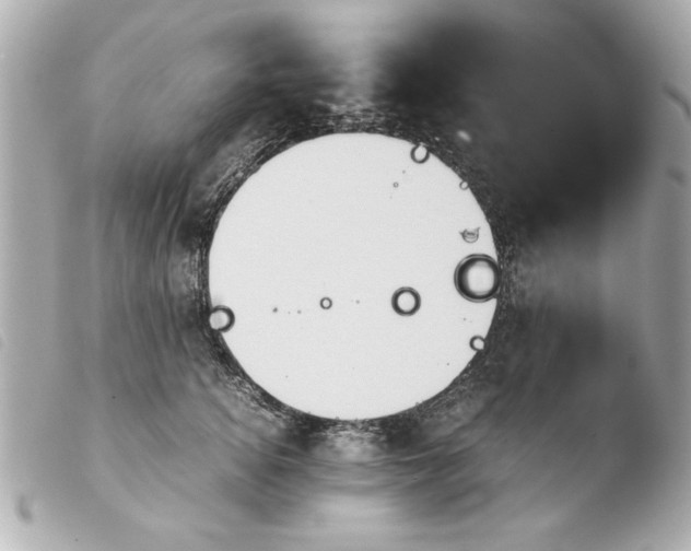 X0000103900756200810031149