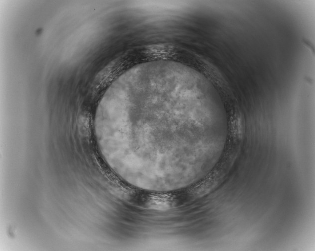 X0000103900757200810031149