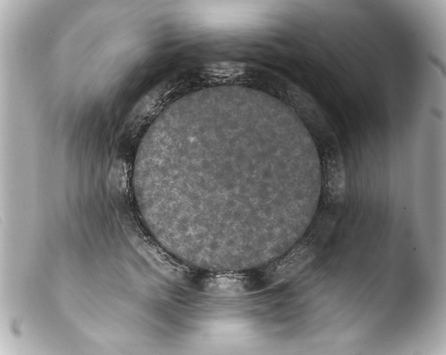 X0000103900758200810031149