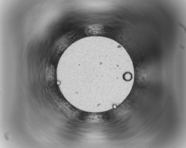 X0000103900760200810031149